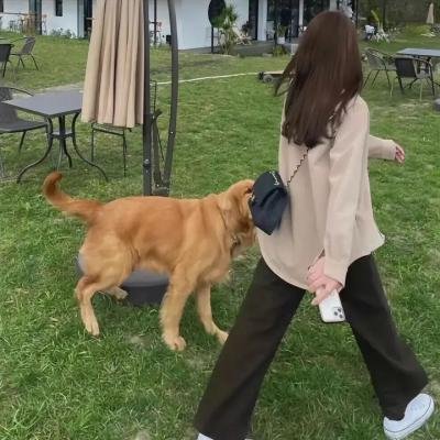 稻草狗